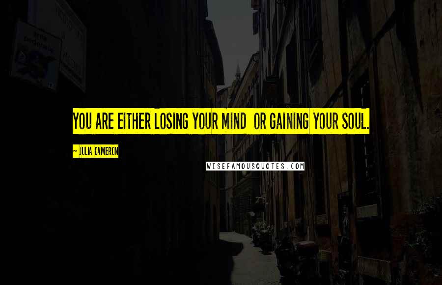 Julia Cameron Quotes: You are either losing your mind  or gaining your soul.