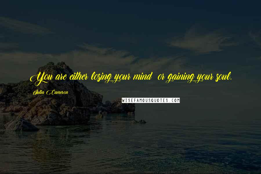 Julia Cameron Quotes: You are either losing your mind  or gaining your soul.