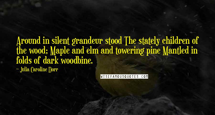 Julia Caroline Dorr Quotes: Around in silent grandeur stood The stately children of the wood; Maple and elm and towering pine Mantled in folds of dark woodbine.