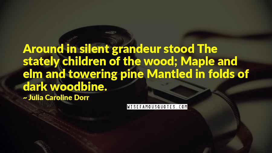 Julia Caroline Dorr Quotes: Around in silent grandeur stood The stately children of the wood; Maple and elm and towering pine Mantled in folds of dark woodbine.