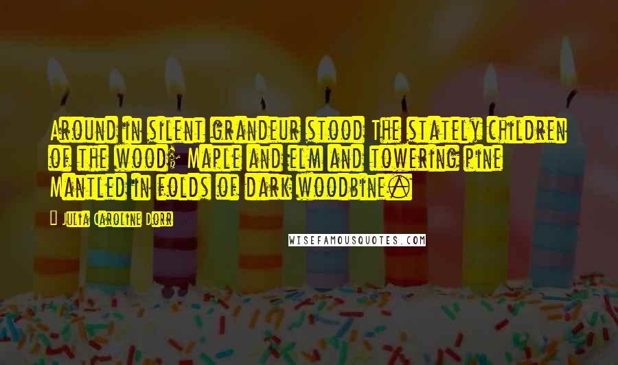 Julia Caroline Dorr Quotes: Around in silent grandeur stood The stately children of the wood; Maple and elm and towering pine Mantled in folds of dark woodbine.