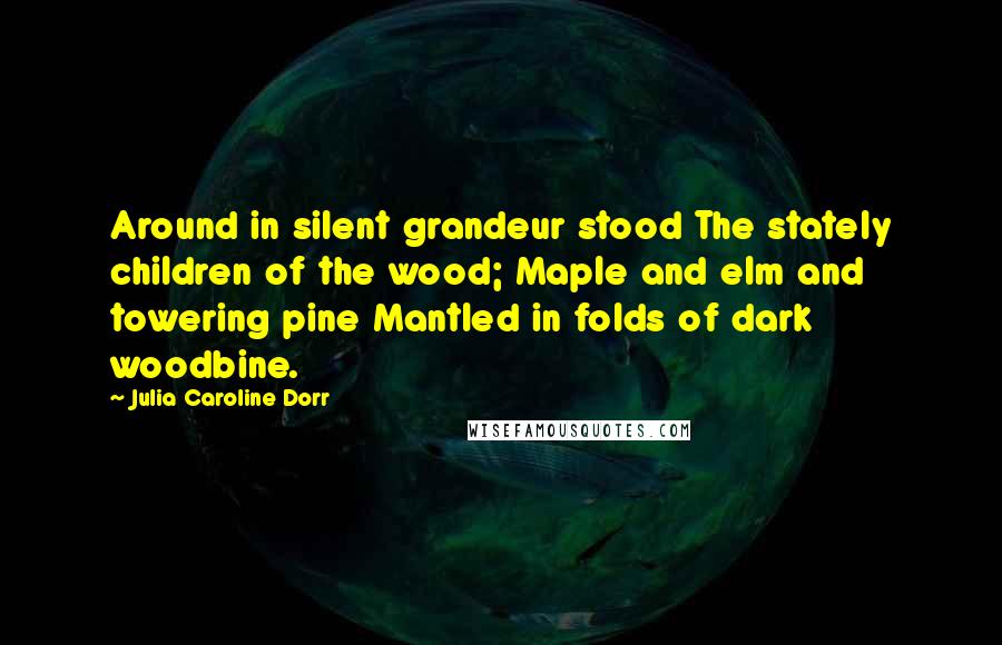 Julia Caroline Dorr Quotes: Around in silent grandeur stood The stately children of the wood; Maple and elm and towering pine Mantled in folds of dark woodbine.