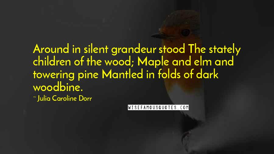 Julia Caroline Dorr Quotes: Around in silent grandeur stood The stately children of the wood; Maple and elm and towering pine Mantled in folds of dark woodbine.