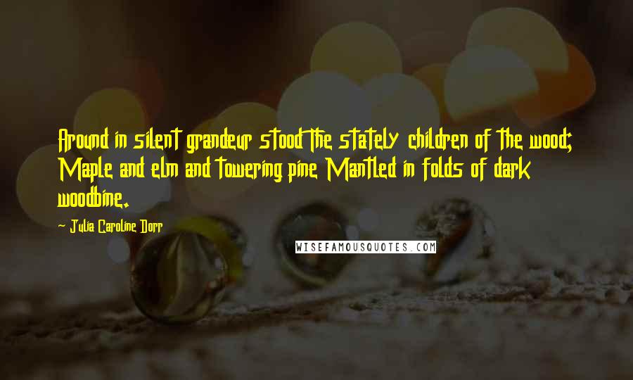 Julia Caroline Dorr Quotes: Around in silent grandeur stood The stately children of the wood; Maple and elm and towering pine Mantled in folds of dark woodbine.