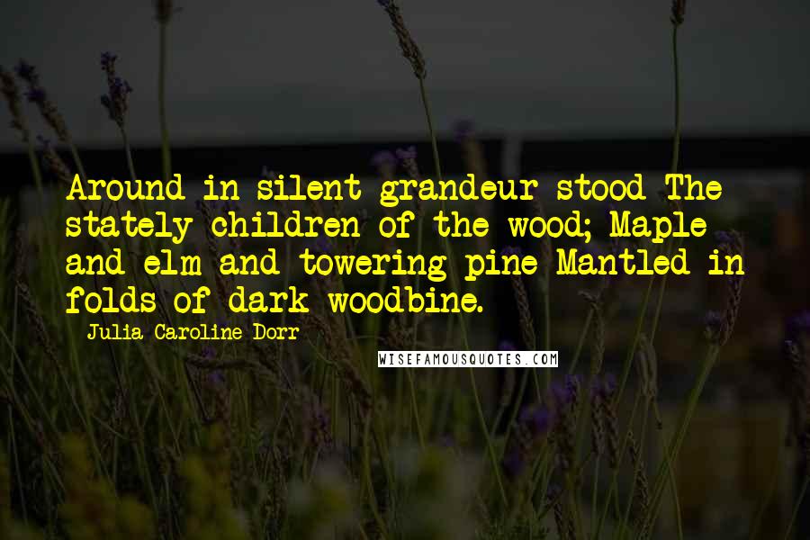 Julia Caroline Dorr Quotes: Around in silent grandeur stood The stately children of the wood; Maple and elm and towering pine Mantled in folds of dark woodbine.