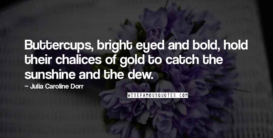 Julia Caroline Dorr Quotes: Buttercups, bright eyed and bold, hold their chalices of gold to catch the sunshine and the dew.