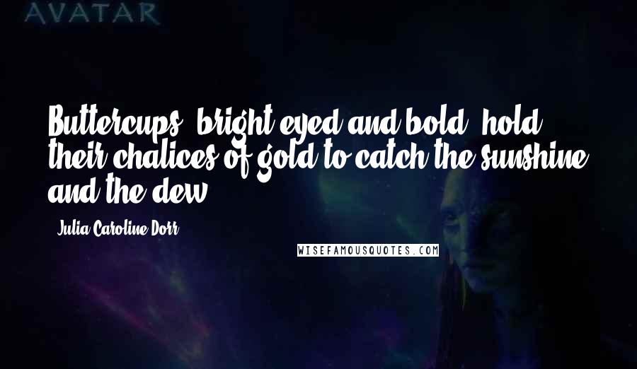 Julia Caroline Dorr Quotes: Buttercups, bright eyed and bold, hold their chalices of gold to catch the sunshine and the dew.