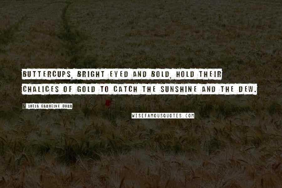 Julia Caroline Dorr Quotes: Buttercups, bright eyed and bold, hold their chalices of gold to catch the sunshine and the dew.