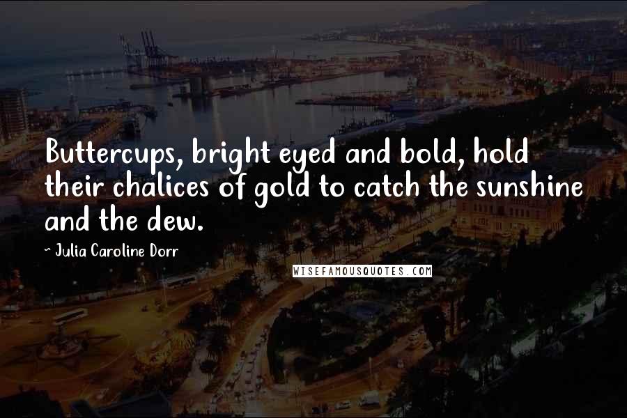 Julia Caroline Dorr Quotes: Buttercups, bright eyed and bold, hold their chalices of gold to catch the sunshine and the dew.