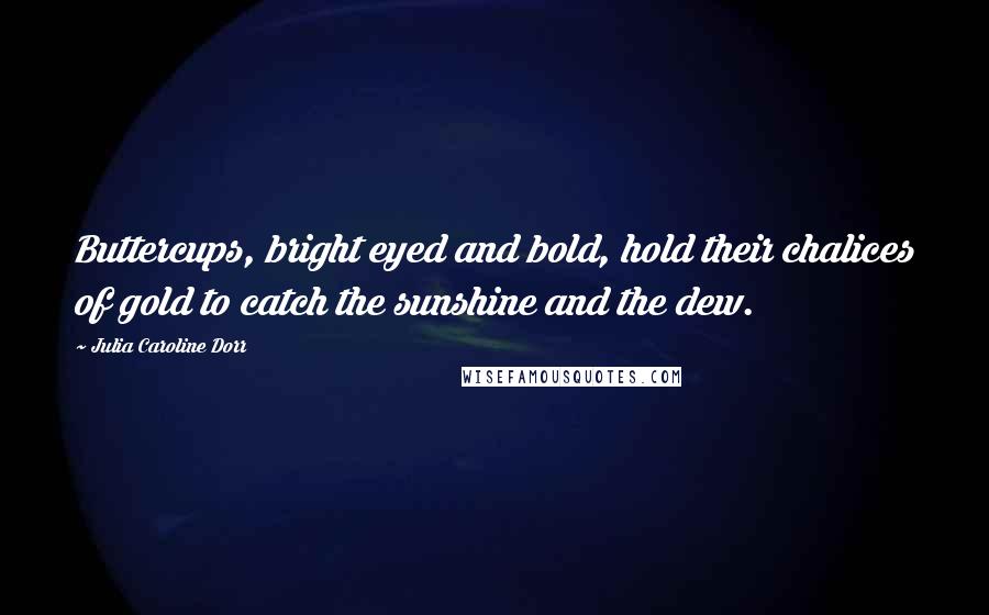 Julia Caroline Dorr Quotes: Buttercups, bright eyed and bold, hold their chalices of gold to catch the sunshine and the dew.