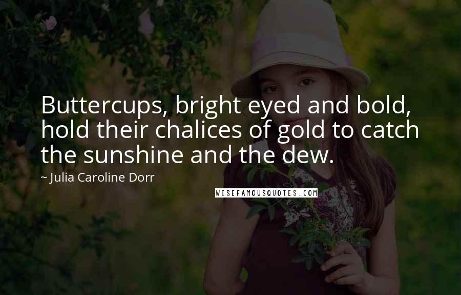 Julia Caroline Dorr Quotes: Buttercups, bright eyed and bold, hold their chalices of gold to catch the sunshine and the dew.
