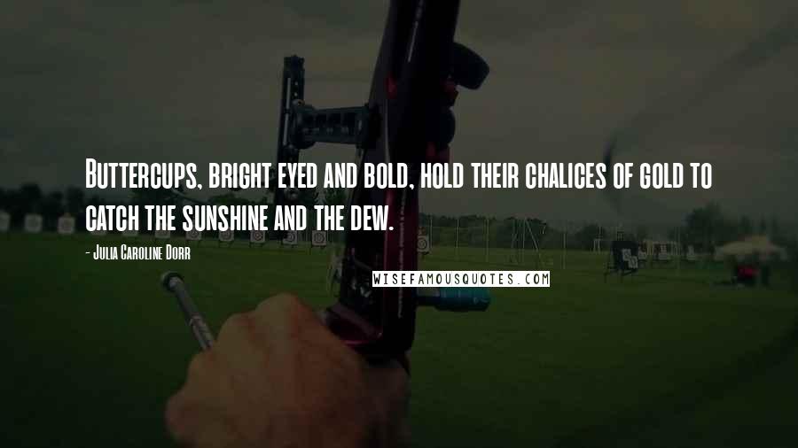 Julia Caroline Dorr Quotes: Buttercups, bright eyed and bold, hold their chalices of gold to catch the sunshine and the dew.