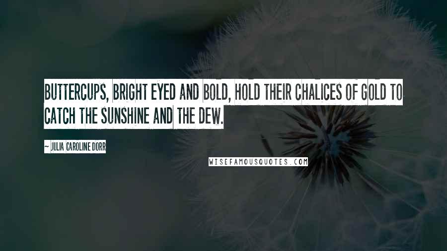 Julia Caroline Dorr Quotes: Buttercups, bright eyed and bold, hold their chalices of gold to catch the sunshine and the dew.