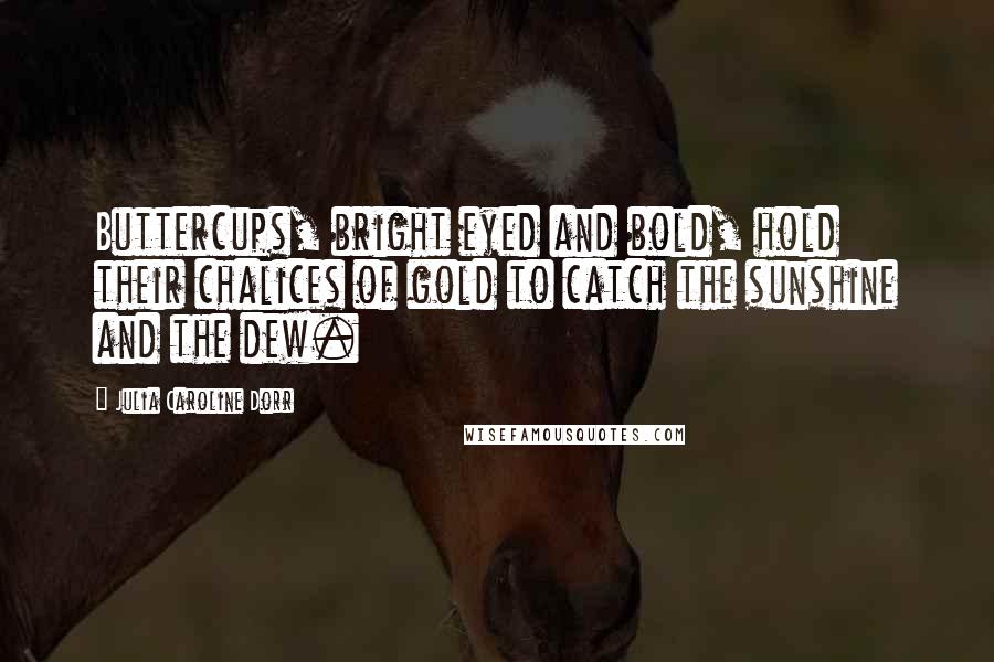 Julia Caroline Dorr Quotes: Buttercups, bright eyed and bold, hold their chalices of gold to catch the sunshine and the dew.