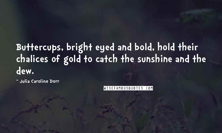 Julia Caroline Dorr Quotes: Buttercups, bright eyed and bold, hold their chalices of gold to catch the sunshine and the dew.