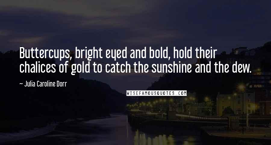 Julia Caroline Dorr Quotes: Buttercups, bright eyed and bold, hold their chalices of gold to catch the sunshine and the dew.