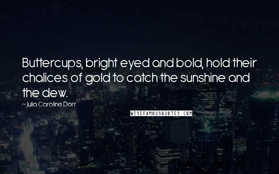 Julia Caroline Dorr Quotes: Buttercups, bright eyed and bold, hold their chalices of gold to catch the sunshine and the dew.