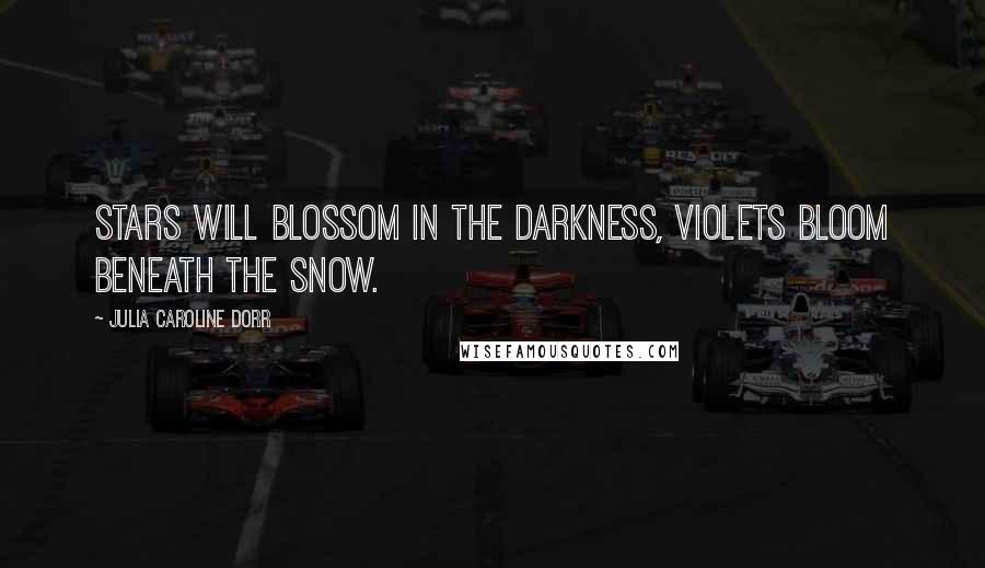 Julia Caroline Dorr Quotes: Stars will blossom in the darkness, Violets bloom beneath the snow.