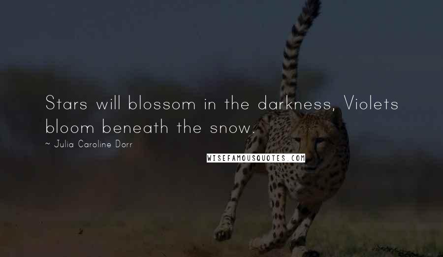 Julia Caroline Dorr Quotes: Stars will blossom in the darkness, Violets bloom beneath the snow.
