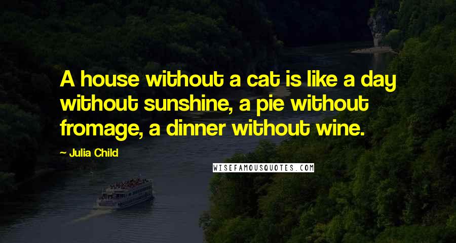 Julia Child Quotes: A house without a cat is like a day without sunshine, a pie without fromage, a dinner without wine.