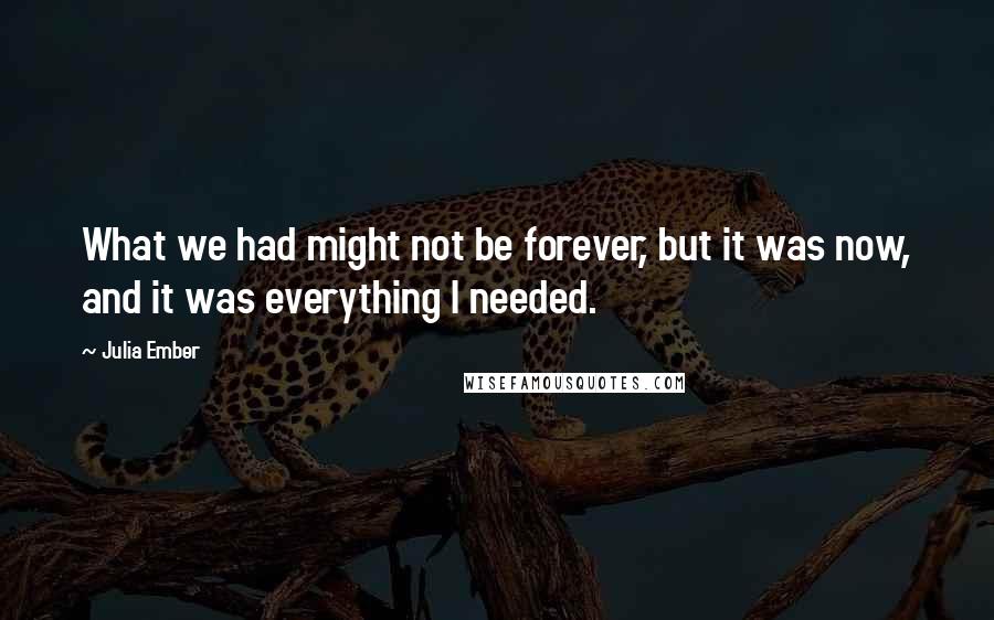 Julia Ember Quotes: What we had might not be forever, but it was now, and it was everything I needed.