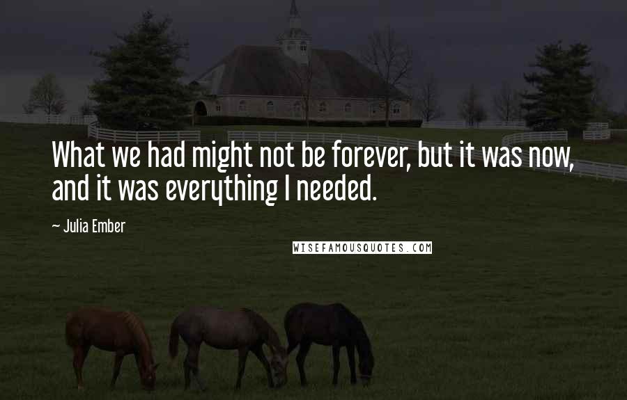 Julia Ember Quotes: What we had might not be forever, but it was now, and it was everything I needed.