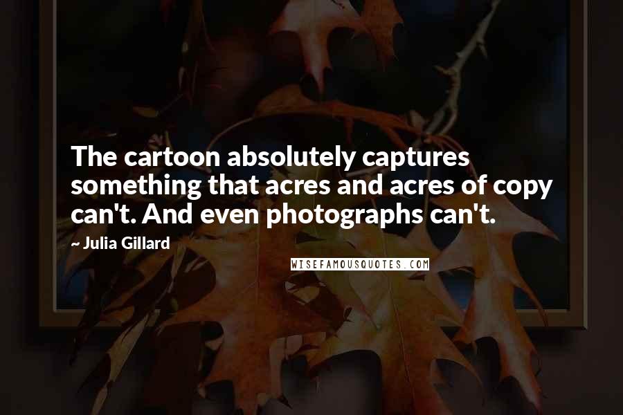 Julia Gillard Quotes: The cartoon absolutely captures something that acres and acres of copy can't. And even photographs can't.
