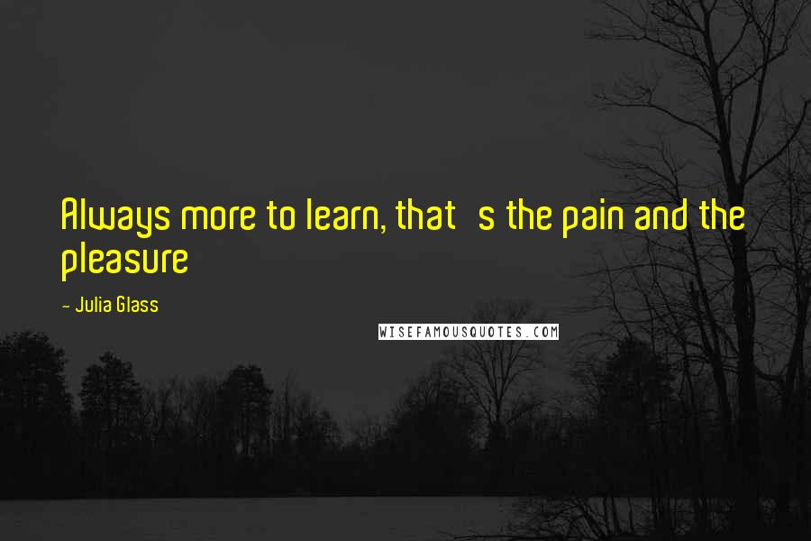 Julia Glass Quotes: Always more to learn, that's the pain and the pleasure