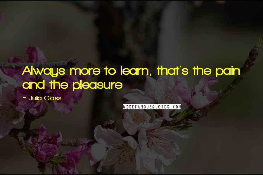 Julia Glass Quotes: Always more to learn, that's the pain and the pleasure