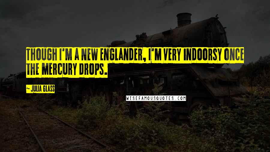 Julia Glass Quotes: Though I'm a New Englander, I'm very indoorsy once the mercury drops.