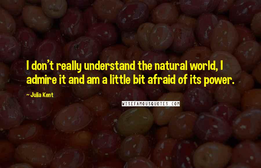 Julia Kent Quotes: I don't really understand the natural world, I admire it and am a little bit afraid of its power.