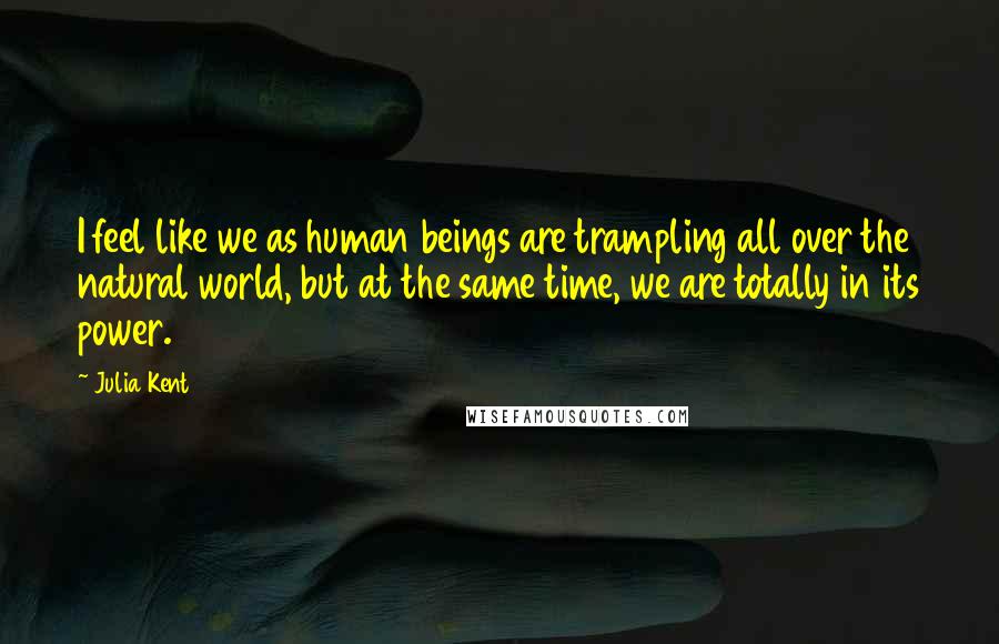 Julia Kent Quotes: I feel like we as human beings are trampling all over the natural world, but at the same time, we are totally in its power.