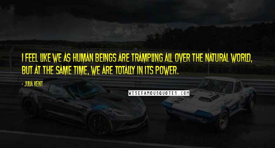 Julia Kent Quotes: I feel like we as human beings are trampling all over the natural world, but at the same time, we are totally in its power.