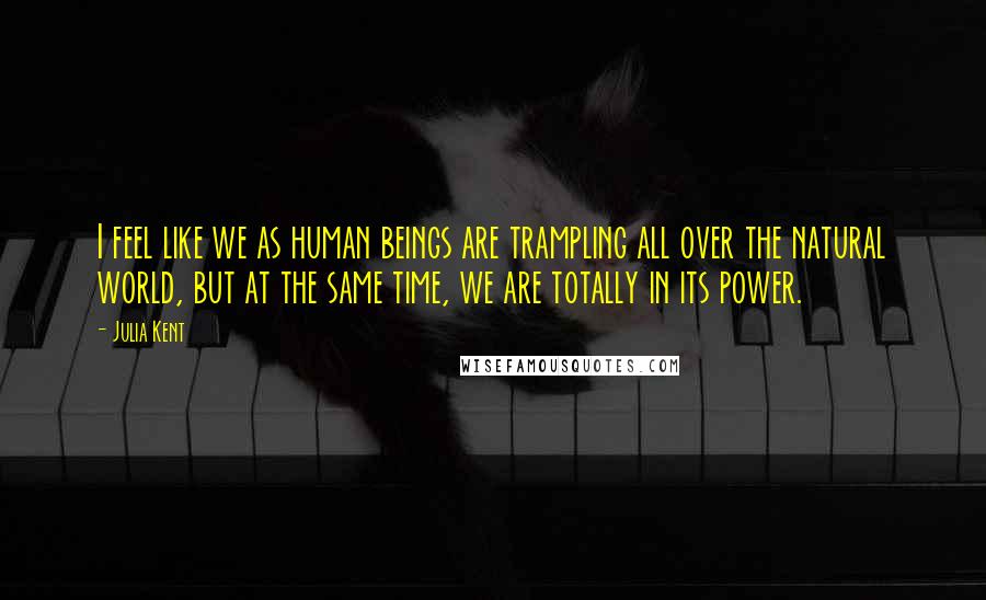 Julia Kent Quotes: I feel like we as human beings are trampling all over the natural world, but at the same time, we are totally in its power.