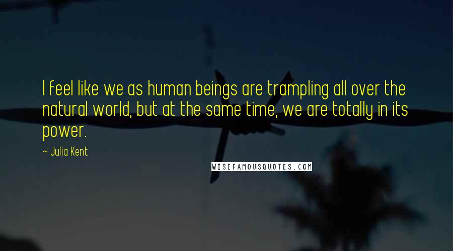 Julia Kent Quotes: I feel like we as human beings are trampling all over the natural world, but at the same time, we are totally in its power.