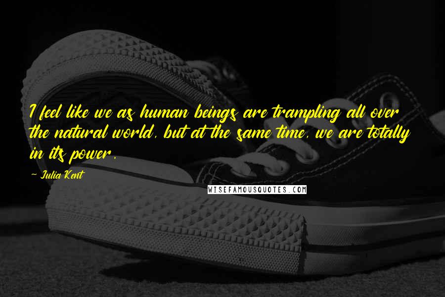 Julia Kent Quotes: I feel like we as human beings are trampling all over the natural world, but at the same time, we are totally in its power.