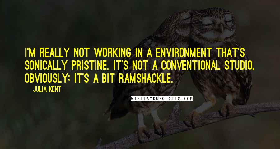 Julia Kent Quotes: I'm really not working in a environment that's sonically pristine. It's not a conventional studio, obviously; it's a bit ramshackle.