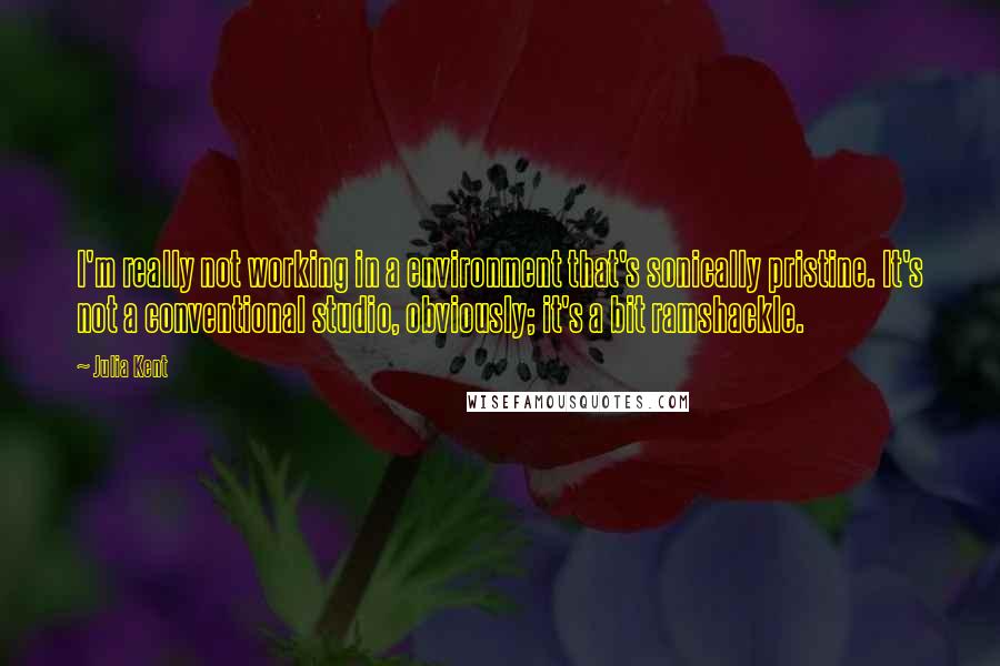 Julia Kent Quotes: I'm really not working in a environment that's sonically pristine. It's not a conventional studio, obviously; it's a bit ramshackle.