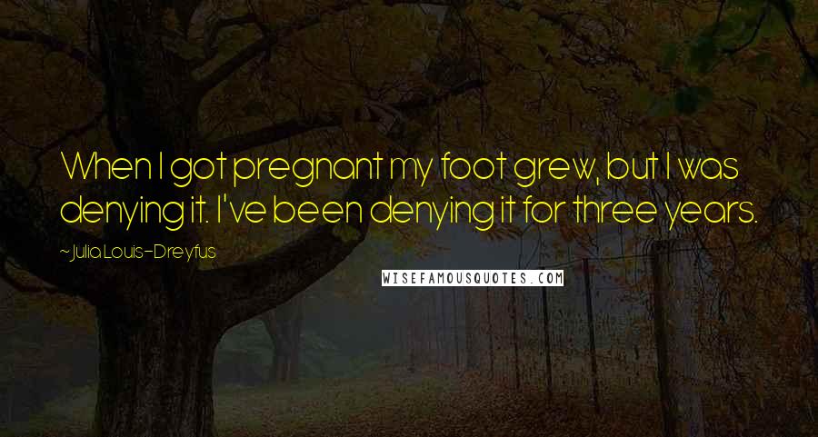 Julia Louis-Dreyfus Quotes: When I got pregnant my foot grew, but I was denying it. I've been denying it for three years.