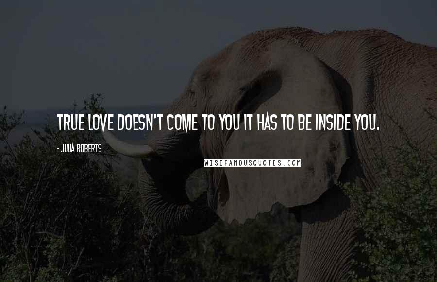 Julia Roberts Quotes: True love doesn't come to you it has to be inside you.