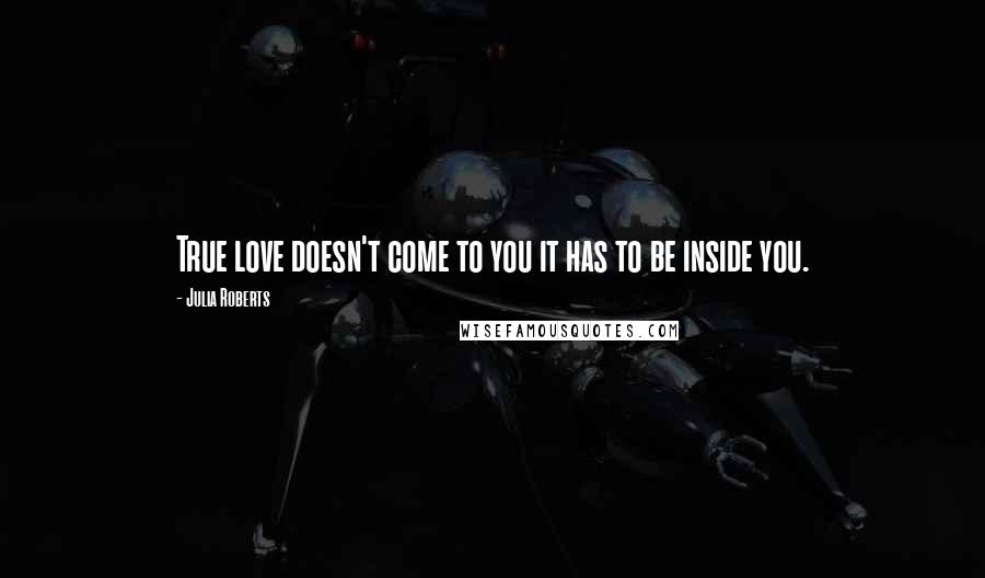 Julia Roberts Quotes: True love doesn't come to you it has to be inside you.