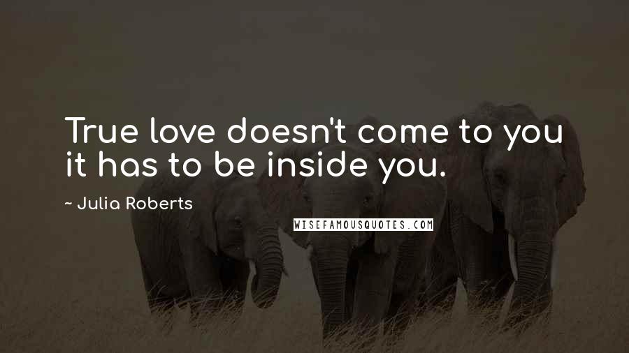 Julia Roberts Quotes: True love doesn't come to you it has to be inside you.