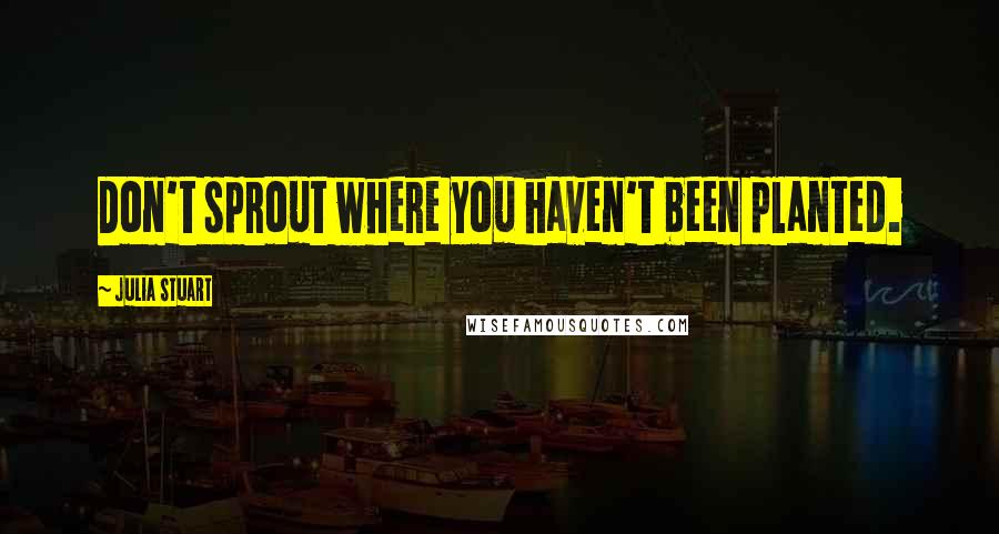 Julia Stuart Quotes: Don't sprout where you haven't been planted.