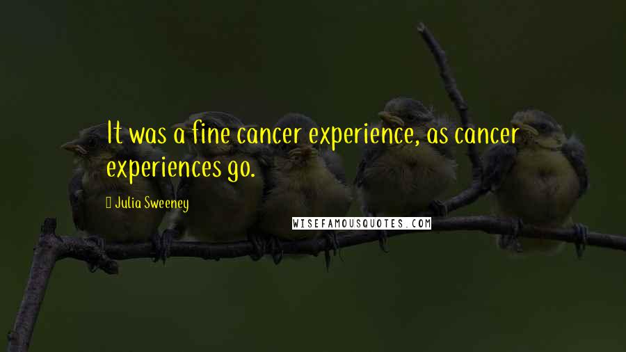 Julia Sweeney Quotes: It was a fine cancer experience, as cancer experiences go.