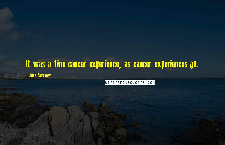 Julia Sweeney Quotes: It was a fine cancer experience, as cancer experiences go.