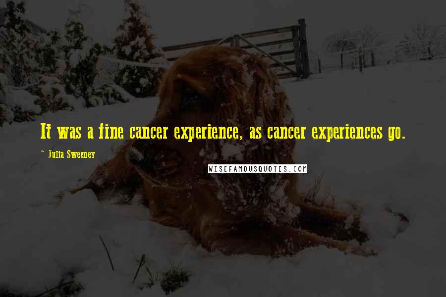 Julia Sweeney Quotes: It was a fine cancer experience, as cancer experiences go.