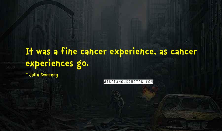 Julia Sweeney Quotes: It was a fine cancer experience, as cancer experiences go.