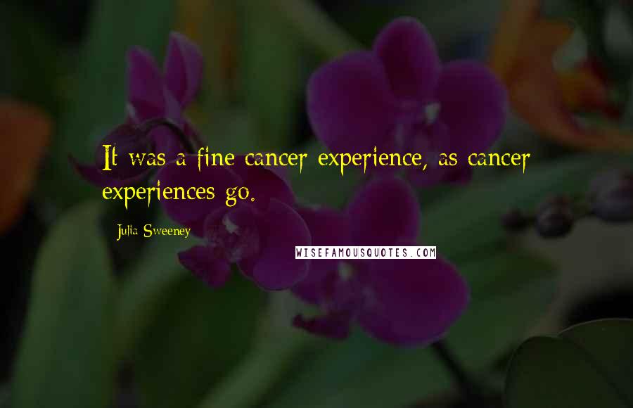 Julia Sweeney Quotes: It was a fine cancer experience, as cancer experiences go.