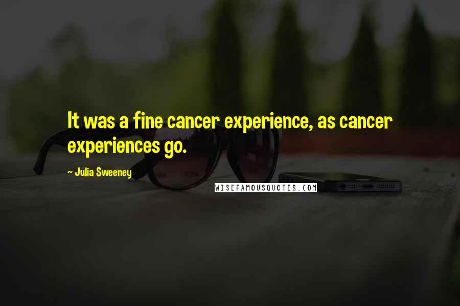 Julia Sweeney Quotes: It was a fine cancer experience, as cancer experiences go.