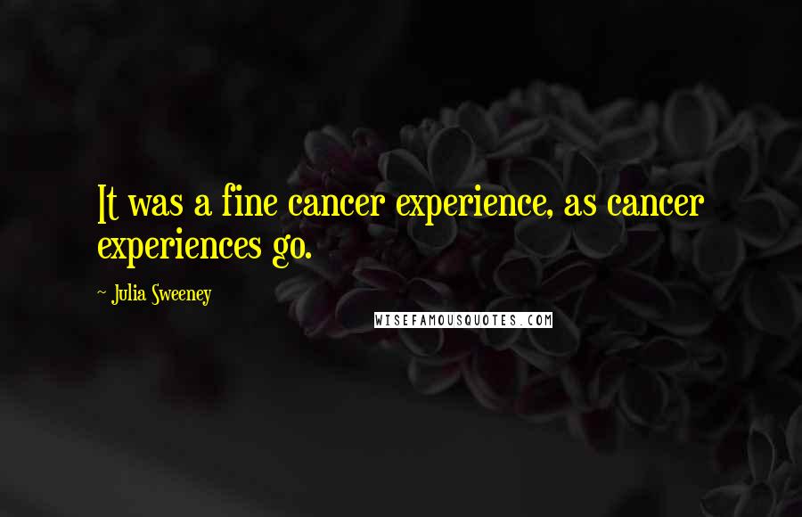 Julia Sweeney Quotes: It was a fine cancer experience, as cancer experiences go.
